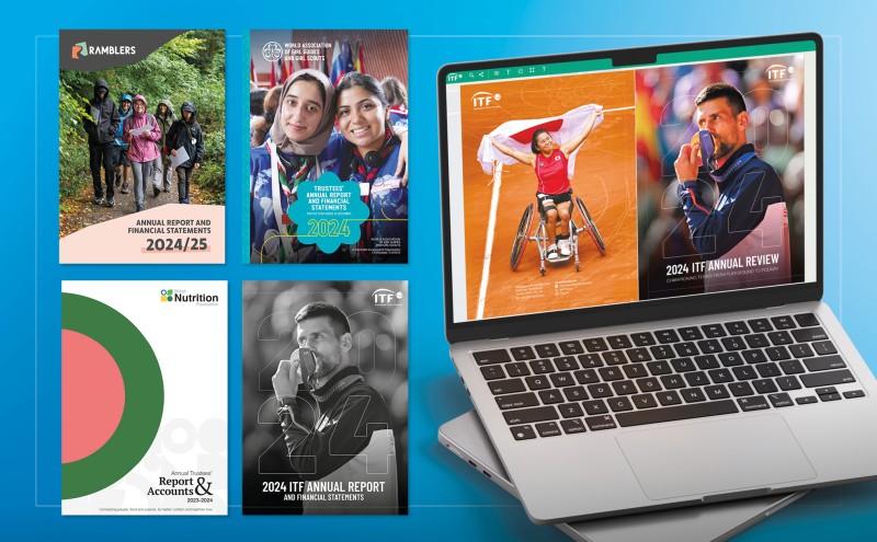 Experts in annual reports