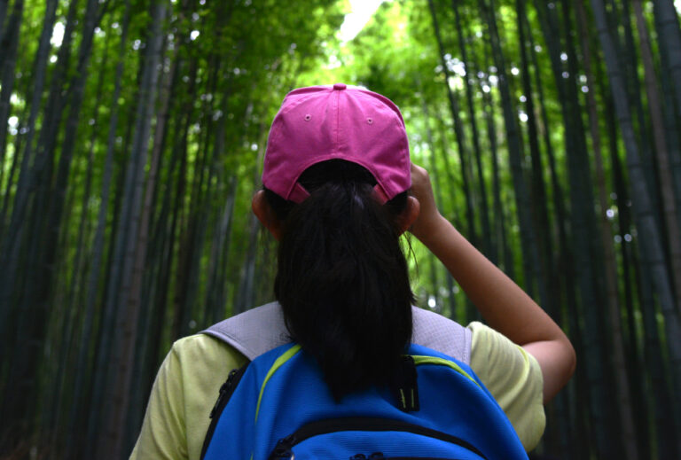 World Association of Girl Guides and Girl Scouts